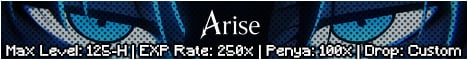 Arise Flyff 2025